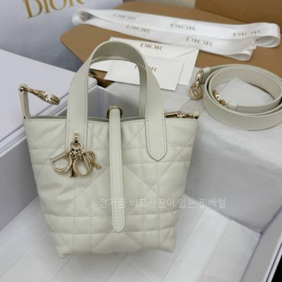 디* S6100 뚜주흐 버티컬 나노 토트백