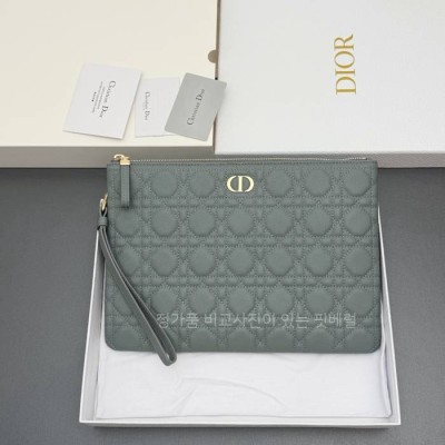 디* 카로 데일리 파우치 클러치백